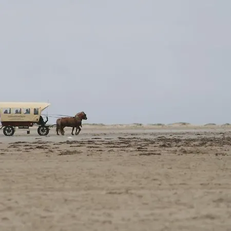 Strandkorb19a Comfortable